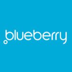 Blueberry