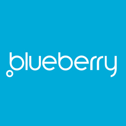 Blueberry