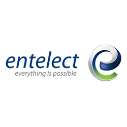 Entelect