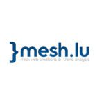 Mesh