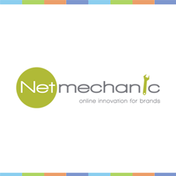 NetMechanic