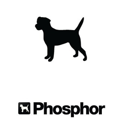 Phosphor Essence