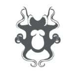 Amorphous New Media