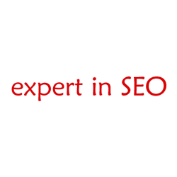 Expert In SEO
