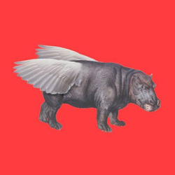 Flying hippo
