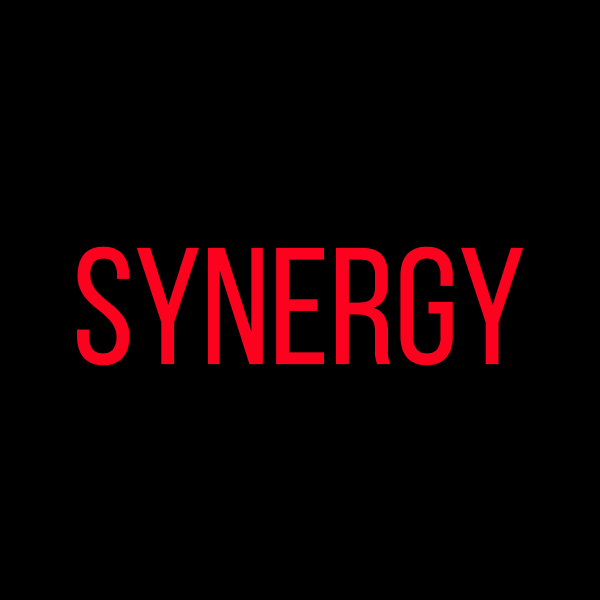 SYNERGY Consulting
