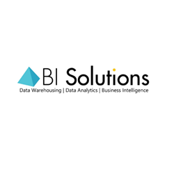 BI Solutions, Inc