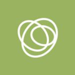 blend interactive