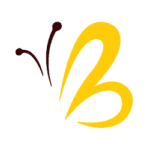 brandvalor llc logo