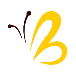 brandvalor llc logo