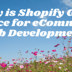 ecommerce web development