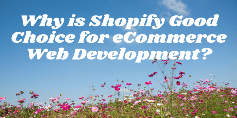 ecommerce web development