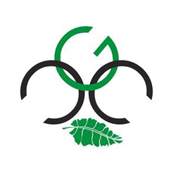 cicada green consultants logo