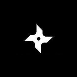 blackninja logo