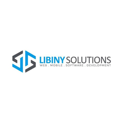 libiny solutions llc logo