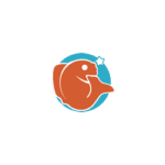 tsinghe network technology co, ltd