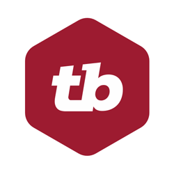 thinking big information technology inc logo