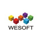 we software limited logo