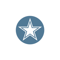 brightstar software logo