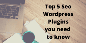 Seo WordPress Plugins