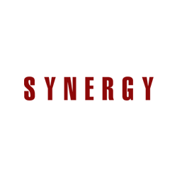 SYNERGY-Consulting