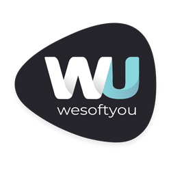 WeSoftYou-Inc