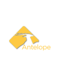 Antelope-Web