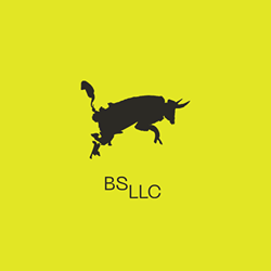 BS-LLC