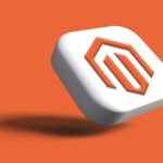 Custom Magento Extensions